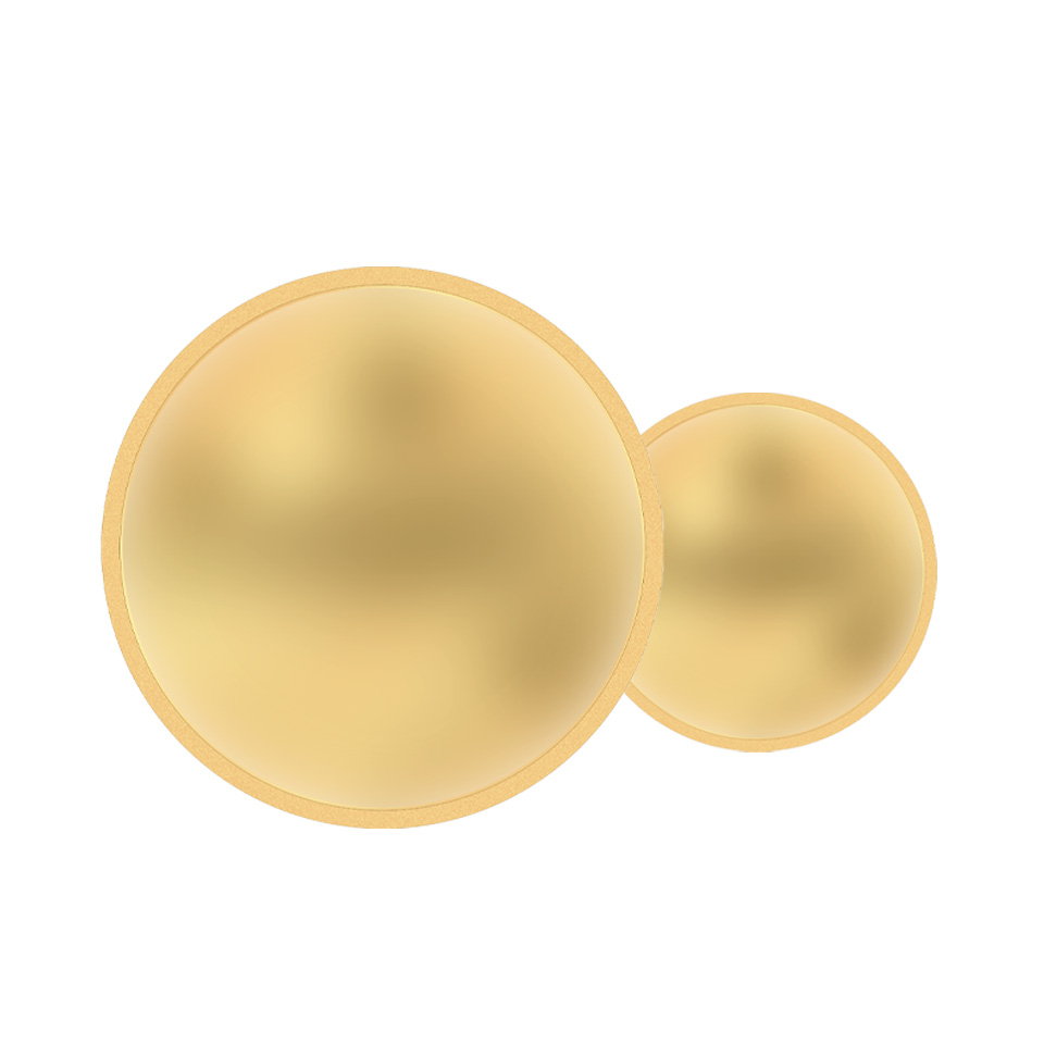 Moneta speciale «Moneta d’oro da 25 franchi»